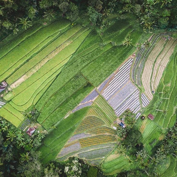 Family terraces and cafés for calm evenings in Porto